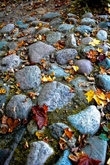 The autumn leaves on an ancient road