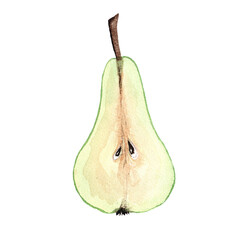 watercolor cut pear for design isolated on white background, fresh pear cut watercolor sketch