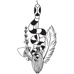 Hand drawn magical composition with a snake on a broom, magical herbs, mushrooms and a feather