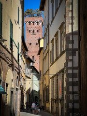 Lucca - Torre Guinigi - 532202920