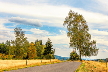 Herbstliche Landschaft mit farbigen Bäumen neben der Straße im Erzgebirge