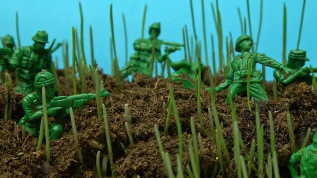 Figures of soldiers are put in military installation on the ground from under which grass grows in timelapse. Dramatic miniture with toys illustrating war and weapon force. Protection from the enemy.