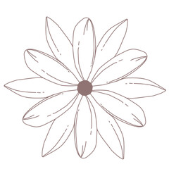 Line art flower illustration vector 