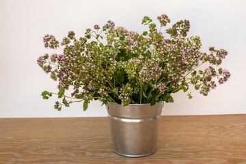 Blooming oregano plant in a tin metal bucket vase.