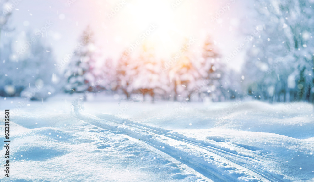 Poster beautiful background image of a snowy morning winter forest with small snowdrifts close-up and light