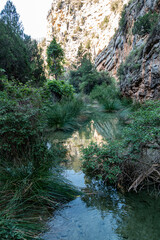 Sendero por el río Ebron