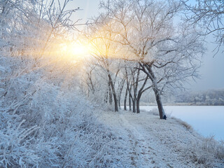 Fototapeta na wymiar Beautiful winter park with sunset colors sky