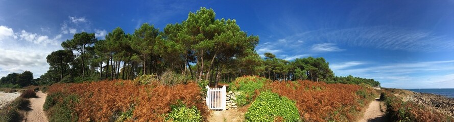 promenade c&ocirc;ti&egrave;re &agrave; Combrit-Sainte-Marine en Finist&egrave;re Cornouaille Bretagne France	