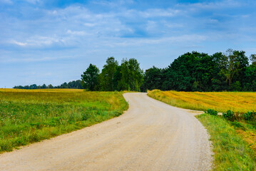 Fototapeta na wymiar Country road and green trees farmland landscape in a summer season.