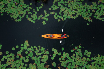 aerial top view of man paddling kayaking in the lotus lake at rayong botanical garden in thailand...