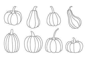Vector pumpkin set. Hand drawn illustrations for autumn decorative design, halloween invitation. Line art.