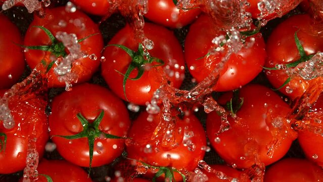 Super Slow Motion Shot of Splashing Fresh Tomatoes. Filmed on High Speed Cinematic Camera at 1000fps.