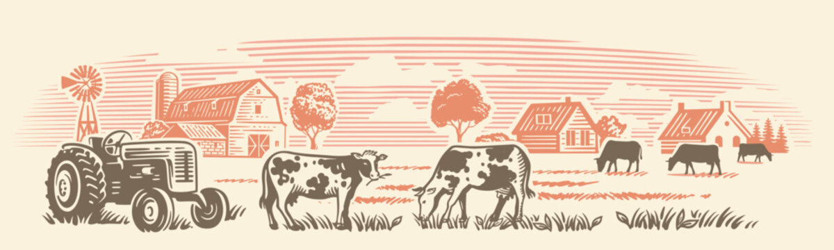 Ranch with tractor and cows. Countryside line sketch