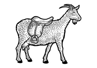 saddle goat sketch PNG illustration with transparent background