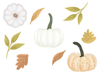 Autumn collection with pumpkins