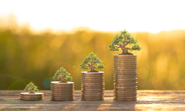 Investment, growth money, saving money, loan, business, finance, retirement, tax concept. Stacking coin growing graph, plant on coins over sun ray overlays natural outdoor background