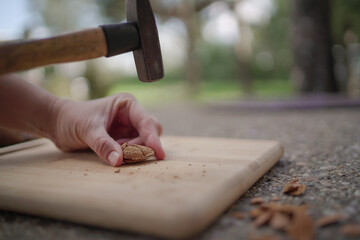 a hammer breaks an almond shell