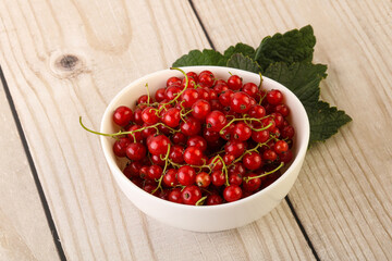 Ripe sweet organic red currant heap