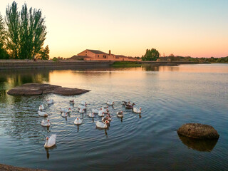 Atardecer con patos en el lago de Los Barruecos, Malpartida de Cáceres