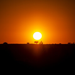 Obraz premium Puesta de sol en el monumento natural de Los Barruecos
