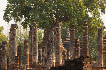 Obraz premium A huge tree surrounded by the columns and remains of the Wat Mahathat temple in Sukhothai Historical Park, Thailand