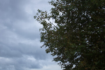 sky and clouds