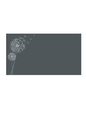 Dandelion abstract dark background