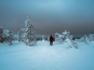 Lonely traveler in the twilight gloomy winter forest. Polar expedition.