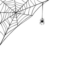 Linear sketch of a web with a spider.Vector graphics.