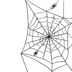 Linear sketch of a web with a spider.Vector graphics.
