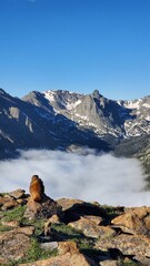 Marmot in a field in front of clouds and mountains, Rocky Mountain National Park, Colorado