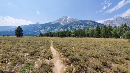 View of the Tetons from a field, Grand Teton National Park, Wyoming