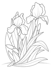Iris flowers growing in a bush. Coloring book, vector.