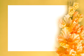 a postcard layout with delicate flowers on a yellow background. gladioli. Space for text. flat lying