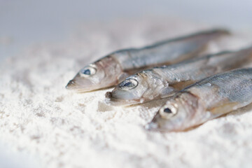 Three herrings on a plate with flour. Stages of cooking fish. Preparation for frying food. Home...