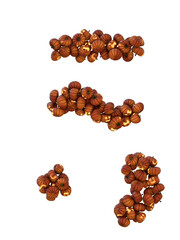 Halloween Pumpkin Lantern Particle Typeface punctuation