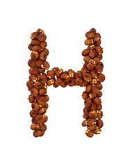 Halloween Pumpkin Lantern Particle Typeface H