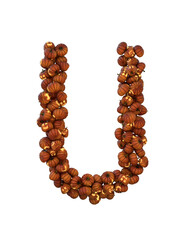 Halloween Pumpkin Lantern Particle Typeface U