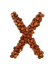 Halloween Pumpkin Lantern Particle Typeface X