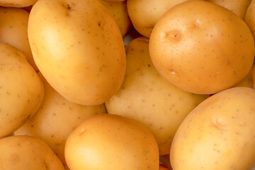 A group of fresh tasty potato as  background.
