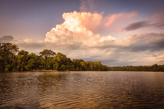 View of Lake Sandoval at sunset, Tambopata Natural Reserve, Puerto Maldonado, Peru