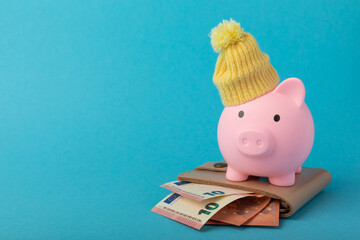 Savings concept. Piggy bank and money on a blue texture background. A piggy bank in a warm winter...