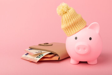 Savings concept. Piggy bank and money on pink texture background. A piggy bank in a warm winter hat...