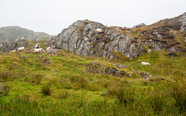 UK, Isles of Mull and Iona - September 8, 2019: casual photos of live style and architecture on the islands at cloudy weather