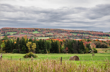 Colorful fall foliage on countryside and hillside in Ontario, Canada 