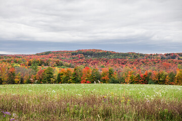 Colorful fall foliage on countryside in Ontario, Canada