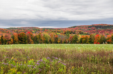 Colorful fall foliage on countryside in Ontario, Canada
