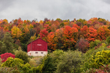Red Barn with 'Farm' signage in front of colorful Fall foliage in Ontario, Canada
