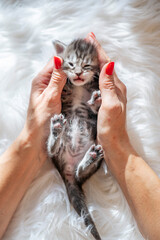 Woman's hand caressing a several day old newborn kitten