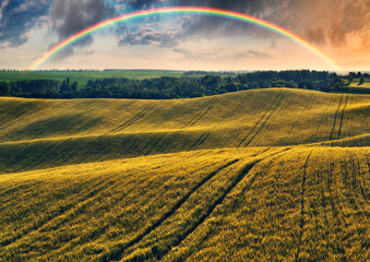 Scenic view of rainbow over green field. dramatic gray sky over a picturesque hilly field
